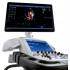 Ультразвуковая диагностическая система GE Healthcare Vivid E95