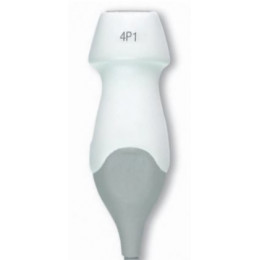 Датчик УЗИ 4P1