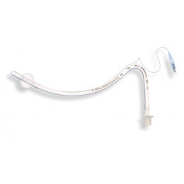 RAE 119-60