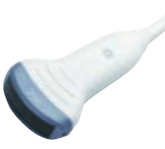 M6C