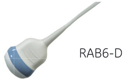 RAB6-D