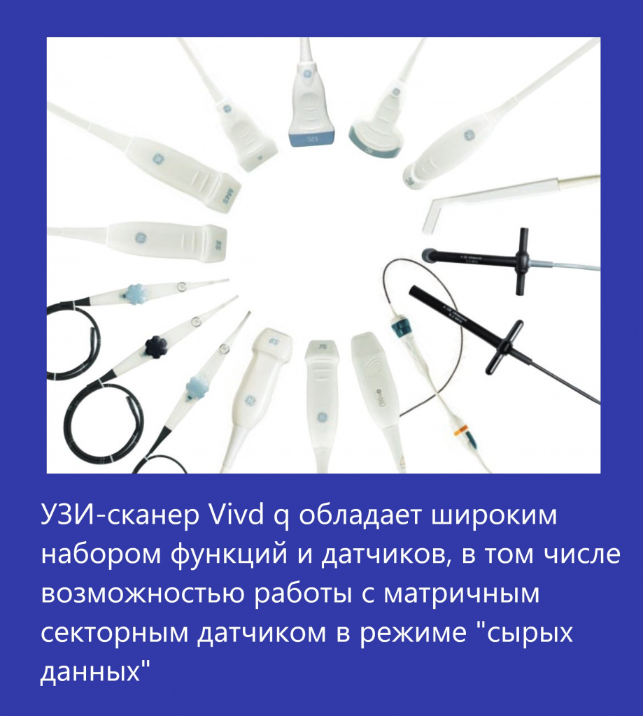 Vivid q-1.jpg